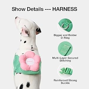   VETRESKA-Flora-Dog-Harness-Leash-and-Collar-Set-No-Pull-Dog-Vest-Harness-for-Walking-and-Training-Adjustable-Easy-Control-and-Soft-Padded-Pet-Harness-and-Backpack-for-Small-Medium-Large-Dogs-L
