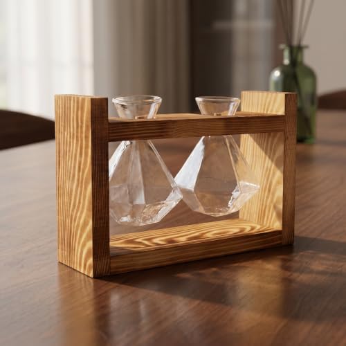 UKCOCO Vases de Propagation, Terrarium géométrique en Verre avec Support – vue 4