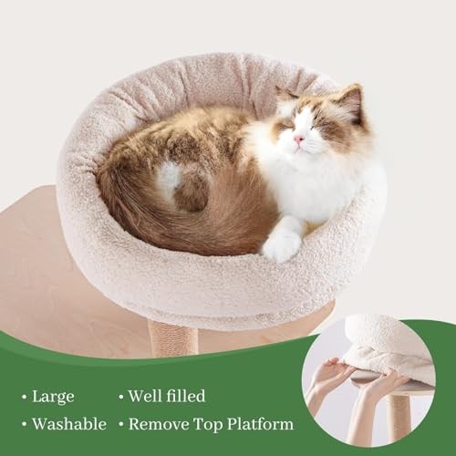 Casa para Gatos de Madera Choc chick 68 Pulgadas miniatura 3