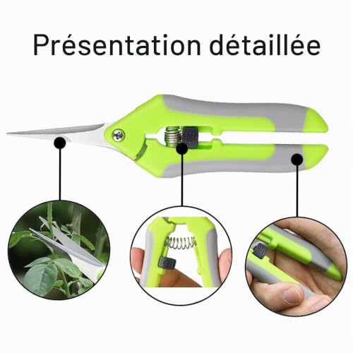 Oneyijun Sécateurs et ciseaux, Secateur de Jardin, Sécateur de Jardinage à Main Ciseaux Bonsai pour Plantes, Fleurs, Branches, Roses, Bonsaïs, Légumes, Fruits (Orange, 1 pièce) – vue 3