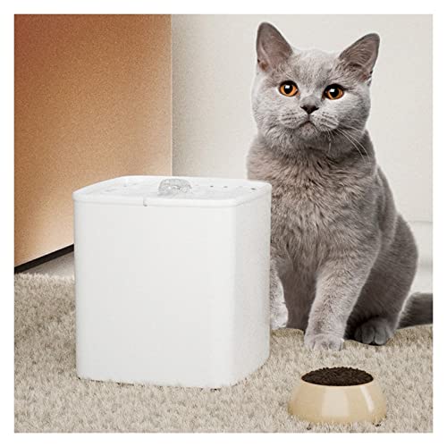 Fuente automática para mascotas con filtro y USB miniatura 3