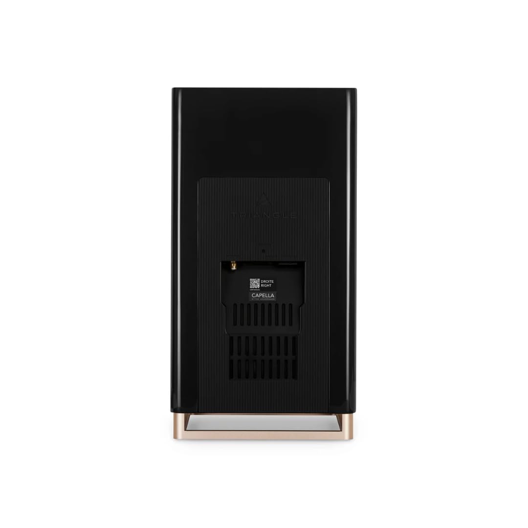Triangle - Diffusori Connessi CAPELLA - Libreria Senza Fili 2 x 100W - Wi-Fi & Bluetooth - Airplay - TV Arc e Ottico – Made in France - 200 x 380 x 315 mm – Stella Nera (Coppia)