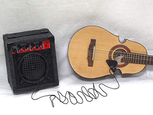 Performance Plus Gsp-1 Acoustic Guitar Soundhole Pickup With 9 Foot Cable And 1/4" Plug #TOP5