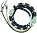 Johnson/evinrude Stators