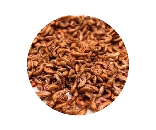 Gammarus - Bachflohkrebse Koifutter Reptilienfutter von Warnicks Tierfutterservice 1000ml