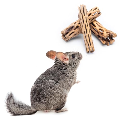 SubstrateSource Natural Cholla Wood - Driftwood for Aquariums Air Plant Base Hermit Crab and Freshwater Shrimp Hideout Fish Tank Decoration Chinchilla Chews Reptile Habitat Wood - 6 Inch 5pc
