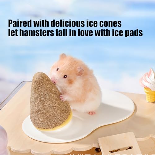 Cama Para Ouriço,Cama De Cerâmica Para Hamster Com Almofada Refrescante - Almofada Cónica Para Dormi