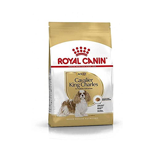 ROYAL CANIN BHN Cavalier King Charles Ad 3000 g