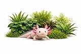 CANTON AQUATICS Axolotl Live Plants Bundle...
