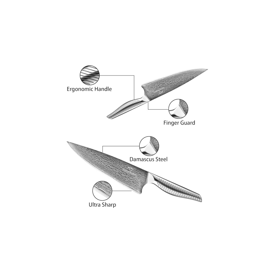 NANFANG BROTHERS® 10 Pieces Damascus Kitchen Knife Set, High Carbon Stainless Steel Damascus Steel Chef Knife Set, Stainless Steel Ergonomic Handle for Chef, with Built-in Sharpening Rod NF