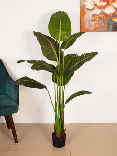 Image of ARICK DECOR 5Ft Artificial Bird of Paradise Plant in Pot, 5ft Realistic Faux Banana Leaf Tree for Home Decor, Office, Living Room & Balcony, Green