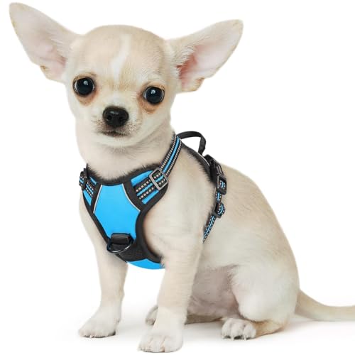 Image of Eagloo Dog Harness for Small Dogs, No Pull Pet Vest with 2 Leash Clips