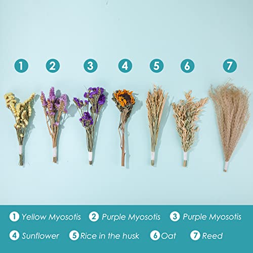 Dzwlkj Natural Flower & Herb Hamster Bedding Mate, Habitat Decor For Hamsters, Guinea Pig, Gerbils Mice Lemming Degus Or Other Small Animal. #TOP1