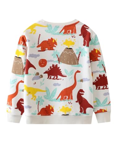 Boys Sweatshirts Casual Sweatshirts Cotton Sweatshirts Long Sleeve T-shirts Crew Neck Cartoon Tops for Boys-7082