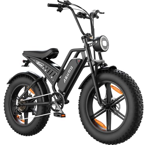 RPINT Electric Mountain Bike for Adults, 20 Inch Fat Tire Dirt E Bike with 1500W Peak Motor, 48V 15Ah Removable Battery, 60 Miles PAS Range, All Terrains Electric Bicycles for Off Road and Commuting