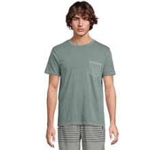 RVCA Men's PTC Pigment Dye Short Sleeve Premium Tee Shirt