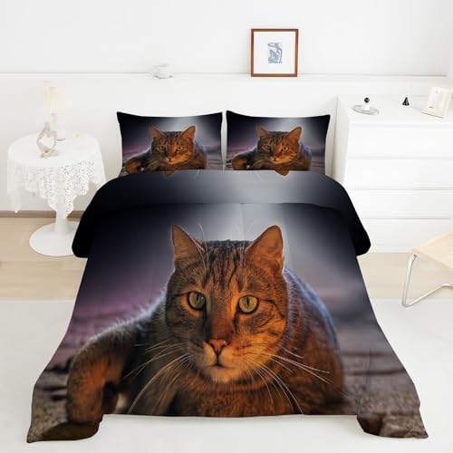 YYDIANZ Couette 90x190 Enfant Style Animaux De Compagnie Chaleureux Et CâLins, Couette Chat Tempérée 300GSM en Microfibre, Édredon Chaude pour Lit 1...