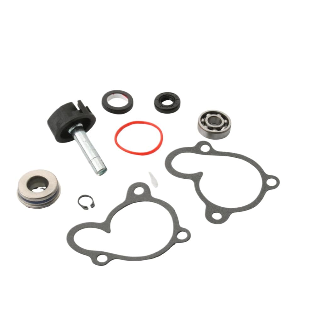 Kit Riparazione Pompa Acqua Compatibile Con Velvet 250 300 Kilibre 300 Password Skyliner 250cc 4T