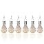 6 pack-Clear Bulbs