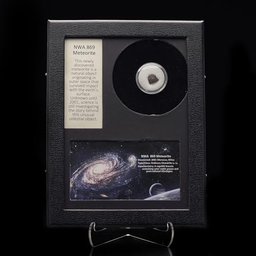 NWA Meteorite in Collector's Box