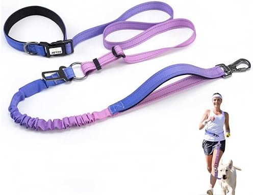 Heavy Duty Hands Free Dog Leash, 4-6 FT Reflective Adjustable Waist Dog Leash Belt with Padded Handles, Shock Absorbing Bungee and Car Seat Belt for Large Medium Dogs (Purple Blue, L)