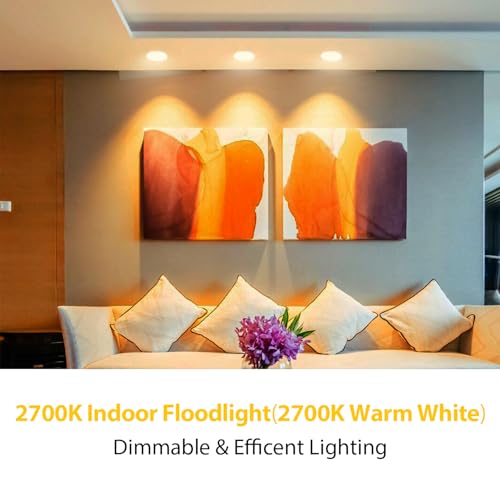 Image of dalattin 6 Pack BR30 LED Bulbs 65W Equivalent, Dimmable Indoor Flood Lights 2700K Soft White, 9W, 800 Lumens, E26 Base, LED Recessed Light Bulb for Living Room, Bedroom, Bathroom, Kitchen