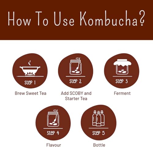 Image of Earthy Leaf | Kombucha SCOBY with Starter Tea