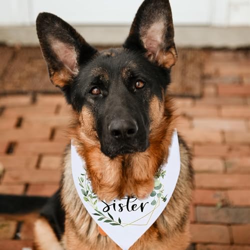 Soon to Be Big Sister Hundehalstuch, weißes Haustier-Schal, Schwangerschaftsankündigung, Hunde-Bandana, Baby-Hund, Geschlechtsoffenbarung, Foto-Requisiten, Zubehör