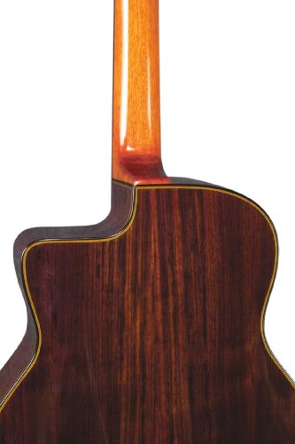 Gitane D-500 Professional Gypsy Jazz Guitar #TOP3