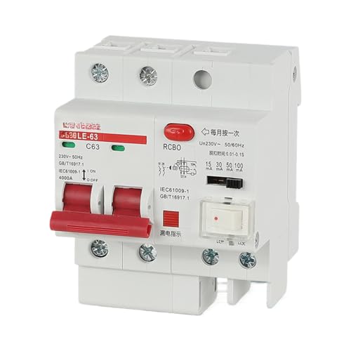 Disjoncteur 100mA 2P protège votre maison des courts-circuits 63A