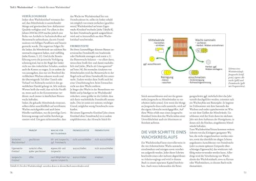 Cire d'abeille : méthode apiculture autosuffisante et guide technique de traitement - 6