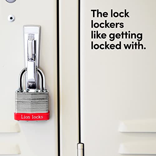 Lion Locks 24 Keyed-Alike Padlocks W/ 1.25” Shackle, 48 Keys, Hardened Steel Case, Brass Cylinder (24-Pack) - For Hasp Latch, Sheds, Fences, Storage Locker, School, Gym #TOP4