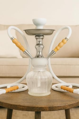 Image of FAB HOME DECOR QT Econo Dual Hose Hookah | Designer Double Pipe Aluminium Stem 12 Inch Glass, Steel Hookah Set For Heavy Smoke | Perfect for Party Lovers (White)