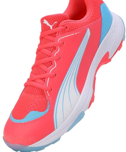 Image of Puma Unisex-Adult Spike 24.1 Cricket Shoe