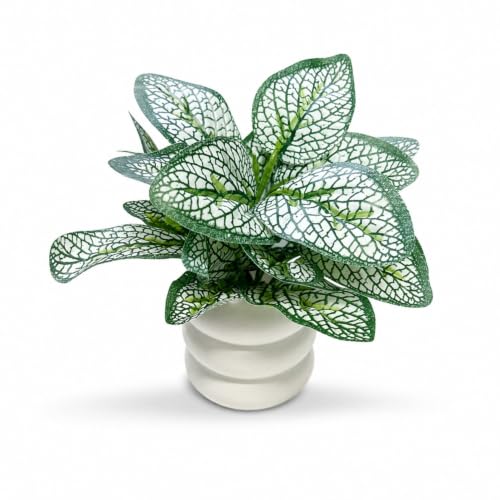 Image of Artificial Fittonia Nerve Plant in White Ceramic Pot, Realistic Faux Potted Desk Plant, Low Maintenance Small Fake Tabletop Greenery for Office, Living Room & Home Decor