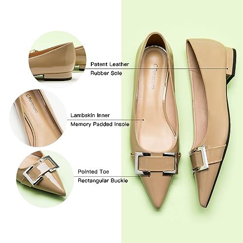 Image of C.Paravano Women Flats | Pointed Toe Shoes | Ballet Flats | Work Daily Wear