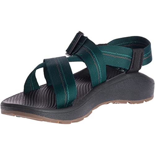 Image of Chaco Women's Zcloud Sandal