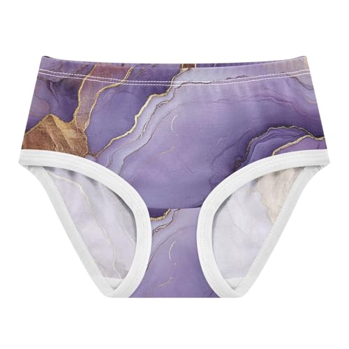 Hipster Panties Hipster Triangle Panties Breathable Underwear for Toddler Girls in Sizes 2T,3T, 4T, 5T, 6Y and 8Y