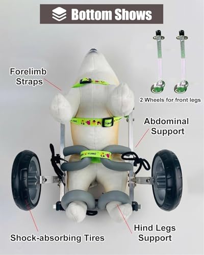 Chariot de mobilité pour animaux de compagnie après blessure - Fauteuil XS réglable
