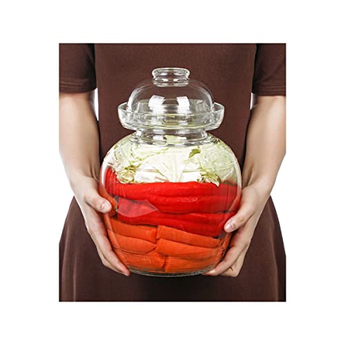 Aosnttol Glass Jar Fermentation Jar, Pickle Jar With Water Seal Lid, Fermentation Kit Fermenter Starter Kit For Pickles, Wine Brewing, Pickling, Kimchi, Sauerkraut, Vegetables, Kombucha 2.5L #TOP5