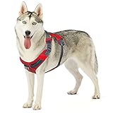 Outward Hound Boulder Adventure Adjustable Dog Harness with Pockets, Red, Large