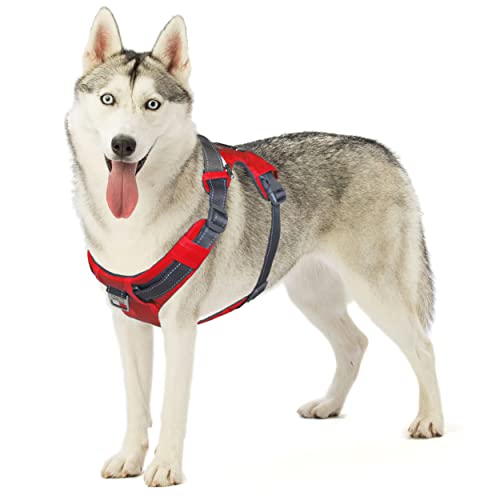 Outward Hound Boulder Adventure Adjustable Dog Harness with Pockets, Red, Large