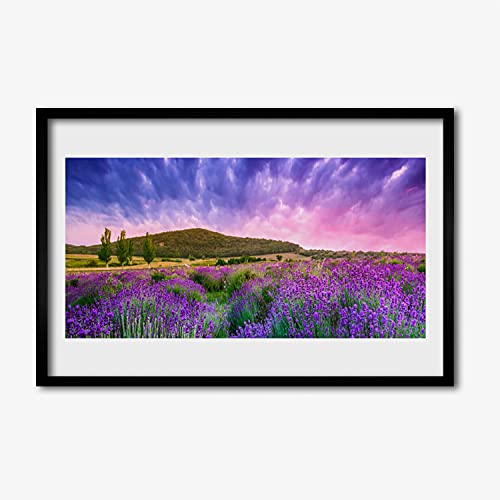 Affiche avec cadre 60x40 cm pour habiller un mur vide paysage fleurs montagnes