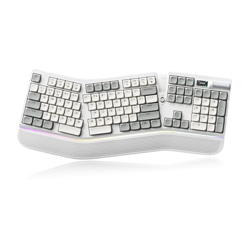 TISHLED Ergonomic Mechanical Keyboard