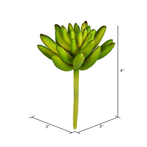 Vickerman Everyday 4