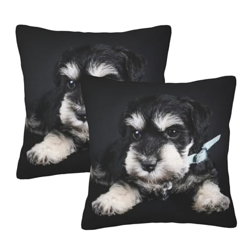 Chioee クッションカバー 2枚セット ミニチュア・シュナウザー 子犬 可愛い 座布団カバー 柔らかい 肌触り良い ソファ背当て 装飾枕カバー 抱き枕カバー カジュアル ピロケース 車用 肌触り良い インテリア飾り 部屋飾り 四季通用 CCZ2375W