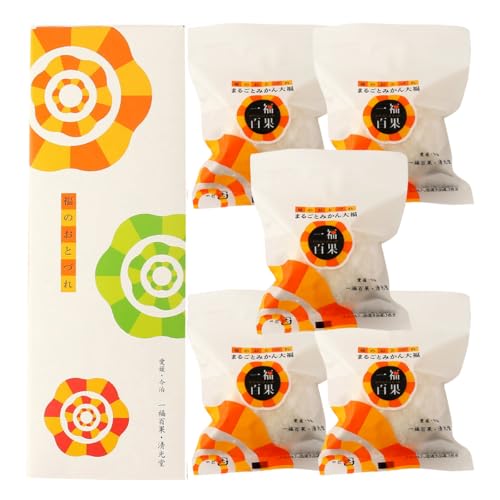 ꕟSʁE ꕟSʂ܂邲Ƃ݂啟 5