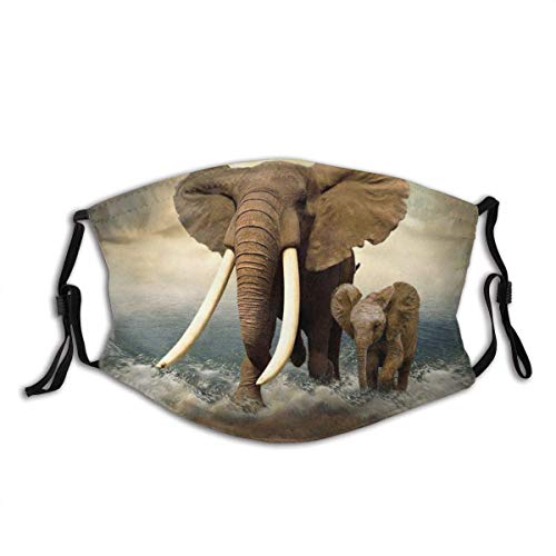 Preisvergleich Produktbild Elefant Grafikdruck Outdoor Gesicht Staubschutz