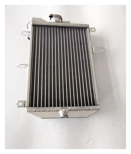 Radiateur en aluminium Burgman 650 AN650 haute qualité