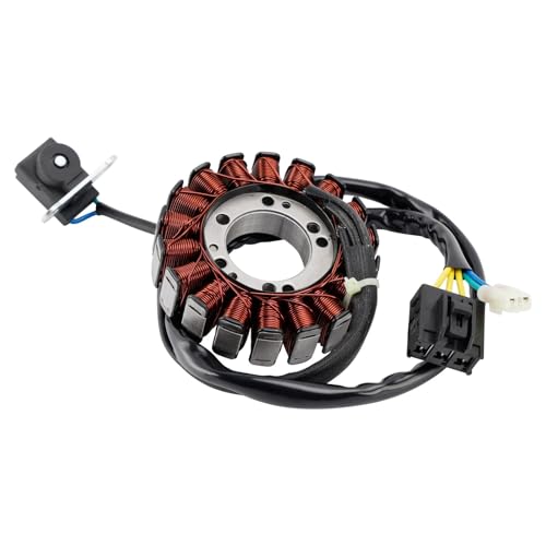 Bobine de stator SYM avec câblage renforcé pour Cruisym 250 300 - 2